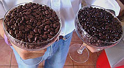 Coffee Beans Freshly Roasted