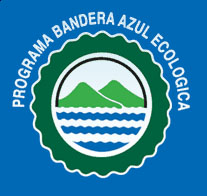blue-flag-logo.JPG