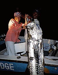 Tarpon-night-fishing-barra-del-colorado.jpg