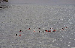 catamaran-snorkelers