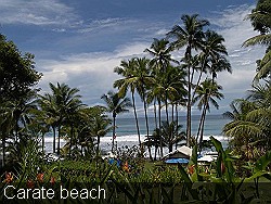 Playa-Carate-Corcovado-Costa-Rica.JPG