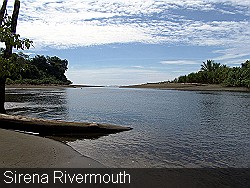 Rivermouth-Sirena-Corcovado.jpg