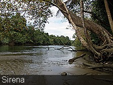 River-Sirena-Corcovado