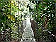 Hanging-Bridge