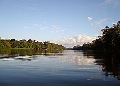 Tortuguero-River