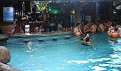 volcano-hot-springs-bar-los-lagos.jpeg.jpg