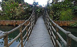 volcano-los-lagos-bridge.jpeg.jpg