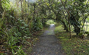 volcano-trail.jpeg.jpg
